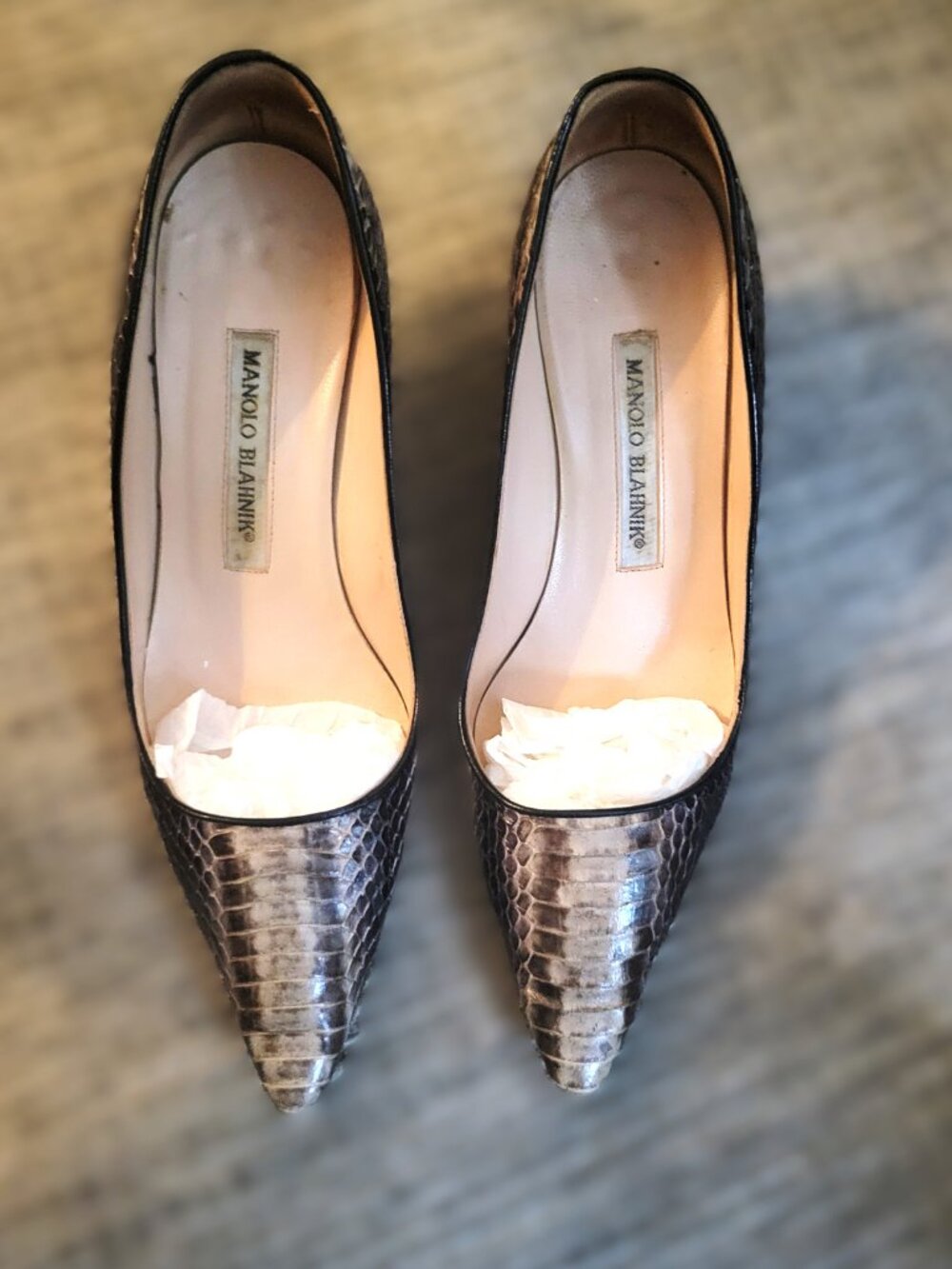 Manolo Gray/Black Snake Skin Kitten Heel - 36 - Picture 2 of 6